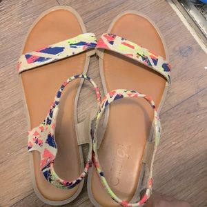 not sure where I got these beauties but they are definitely worth the $12 !